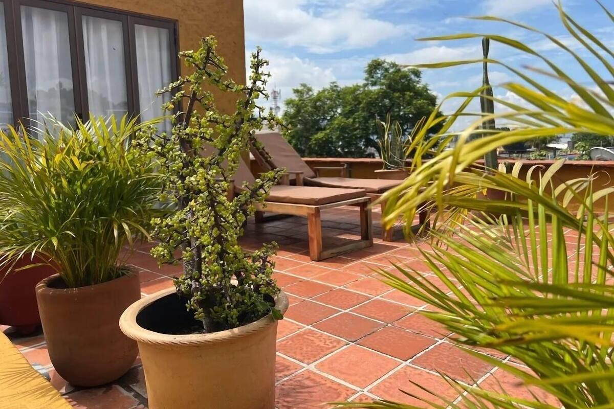 Une terrasse agrémentée de plantes en pot, d’une table en bois et de chaises longues.
