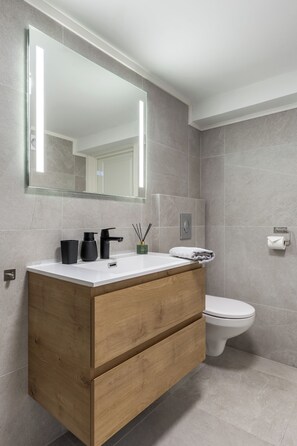 Shower, hair dryer, towels, toilet paper