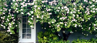 Cute Cottage in Oakland Hills with TWIN BEDS
