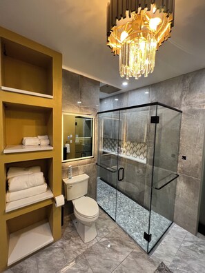 Shower, hair dryer, towels, soap - Spacious 5-bedroom Mansion in Downtown Denver area with AC, fitness room, WiFi (Denver)