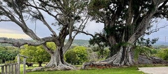 Country charm, exclusive farm retreat - 3 houses (21 pax) 7 minutes to Byron Bay