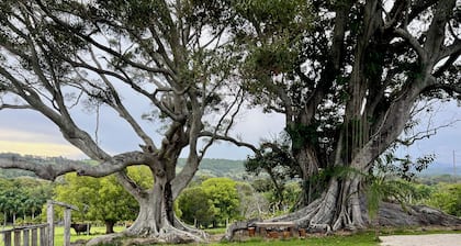 Country charm, exclusive farm retreat - 3 houses (21 pax) 7 minutes to Byron Bay