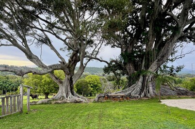 Country charm, exclusive farm retreat - 3 houses (21 pax) 7 minutes to Byron Bay