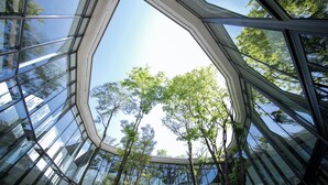 Un bâtiment moderne doté d’une façade en verre originale et offrant une vue sur les arbres à travers les fenêtres.