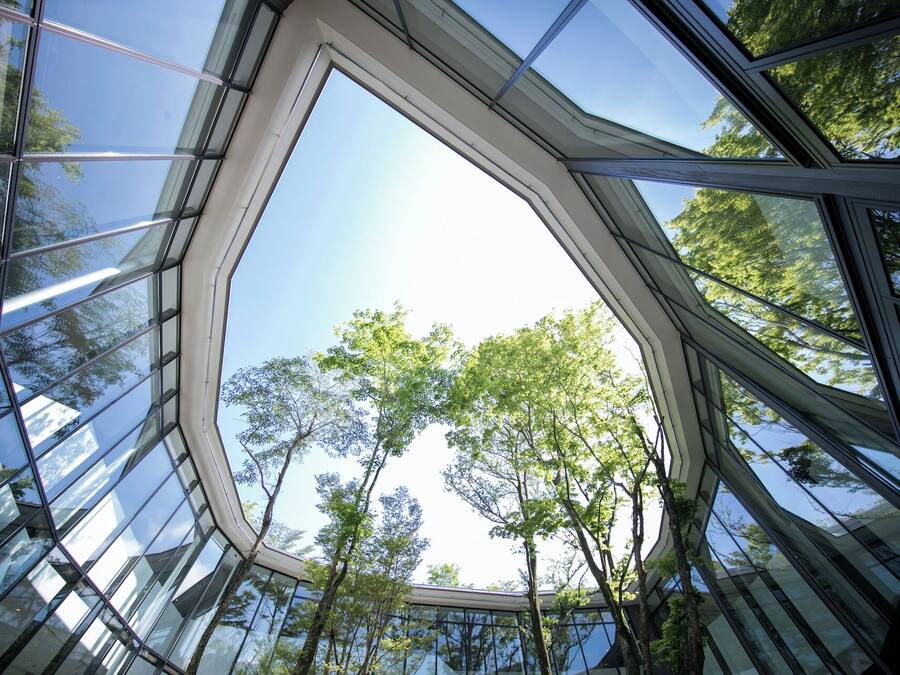 Un edificio moderno con una fachada de vidrio singular y vistas a árboles a través de las ventanas.