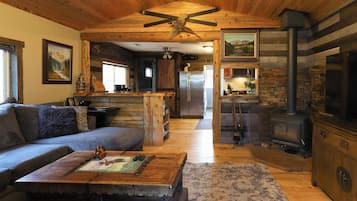 Smart TV, fireplace, DVD player, books