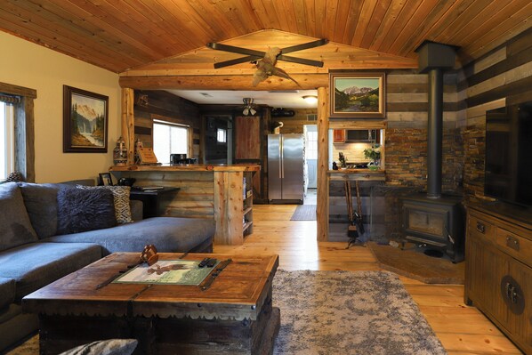 Smart TV, fireplace, DVD player, books