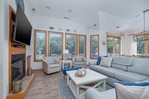 TV, fireplace, books, video library