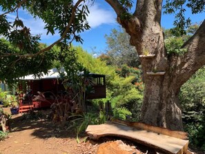 Property grounds - Romantic waterfall cabin in the rain forest (Honokaa)