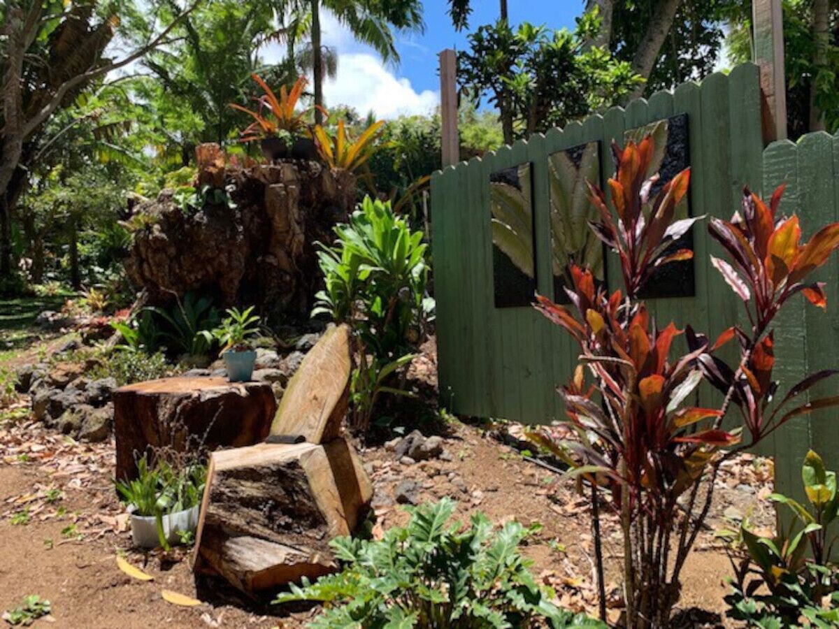 A garden with a wooden fence, a tree stump, and various plants.