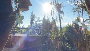 Vista de un jardín con árboles y plantas, una estructura de madera y cielo despejado.