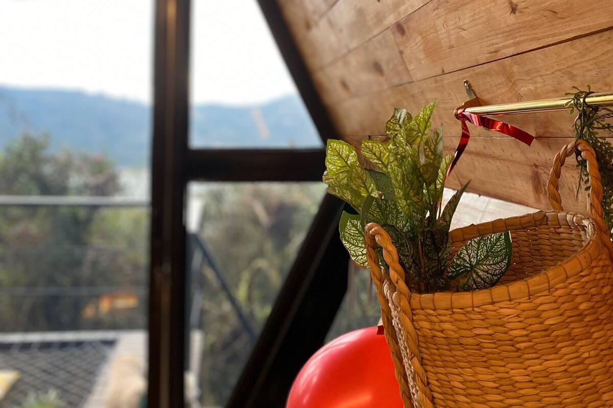 A wicker basket with plants on a wooden table inside a room with a view of mountains through a window.