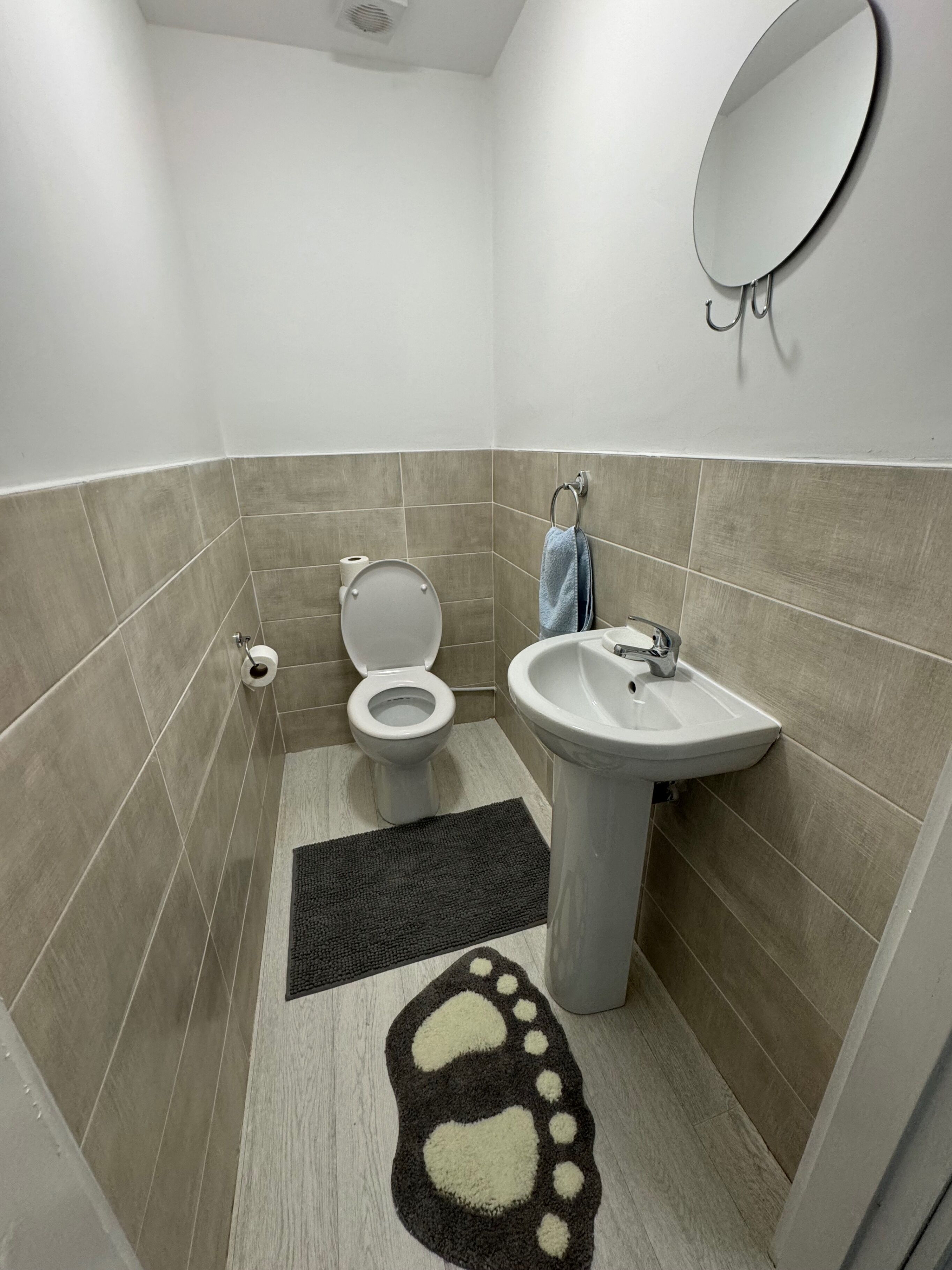 Ein Badezimmer mit Toilette, Waschbecken, Spiegel und einem gemusterten Teppich.