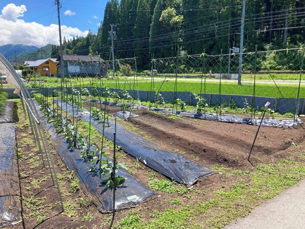 Jardines del alojamiento
