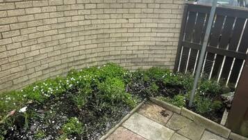 House | Property grounds