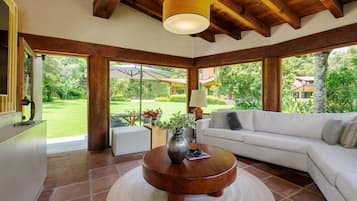 TV, fireplace, offices