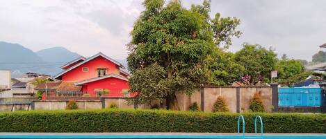 A swimming pool with a red building and a tree in the background.