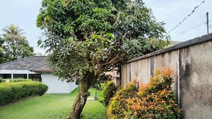 A residential area with a tree, a well-maintained lawn, and a concrete wall. - Villa Estria (Cisarua)