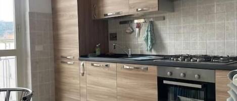 Fridge, microwave, dishwasher, cookware/dishes/utensils