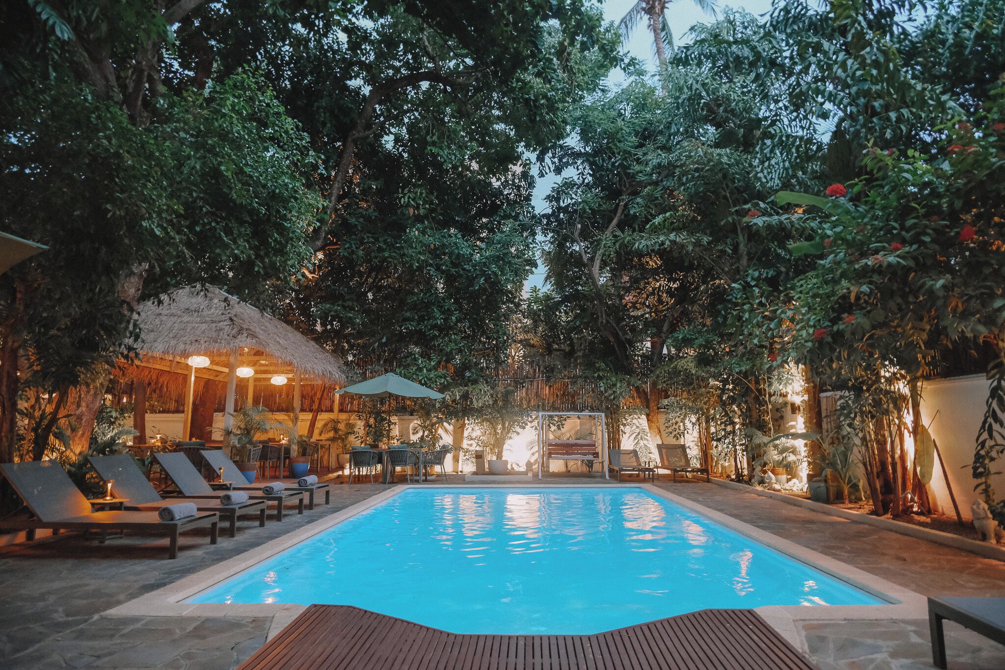 Photo - Jungle Addition