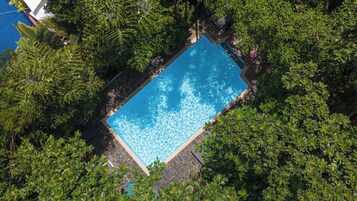 Vista aérea de una piscina rectangular rodeada de frondosa vegetación verde.