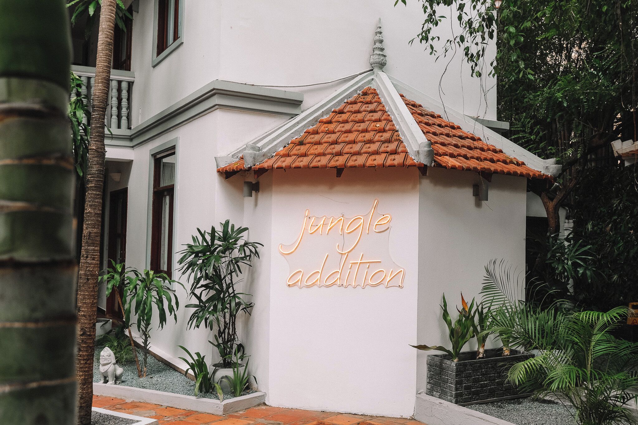Photo - Jungle Addition