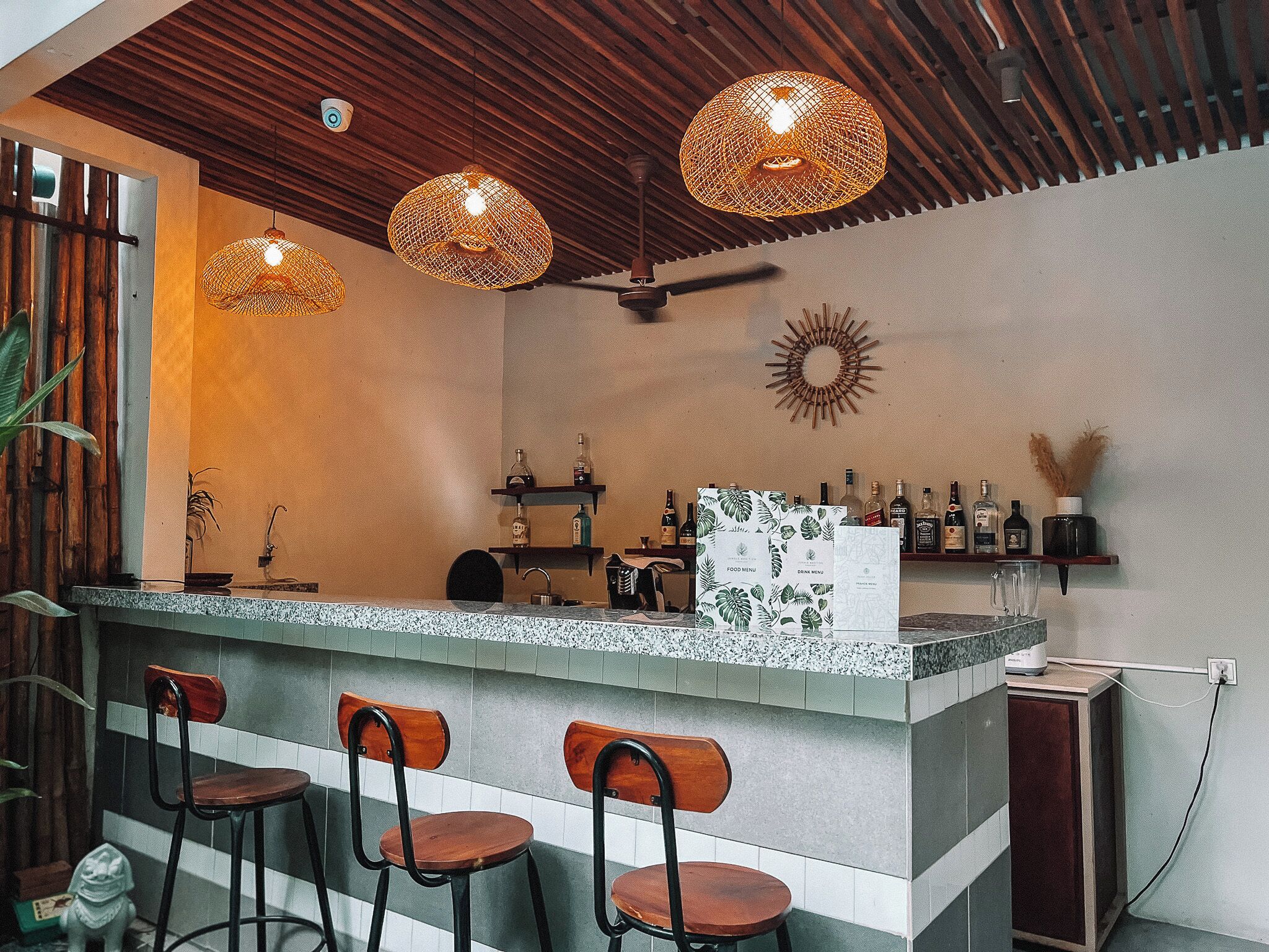 Photo - Jungle Addition