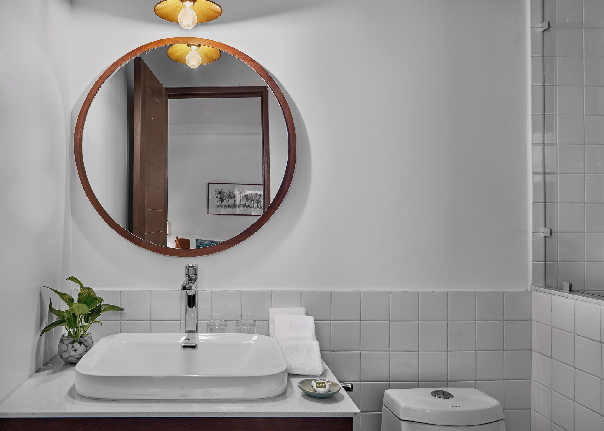 Photo - Jungle Addition