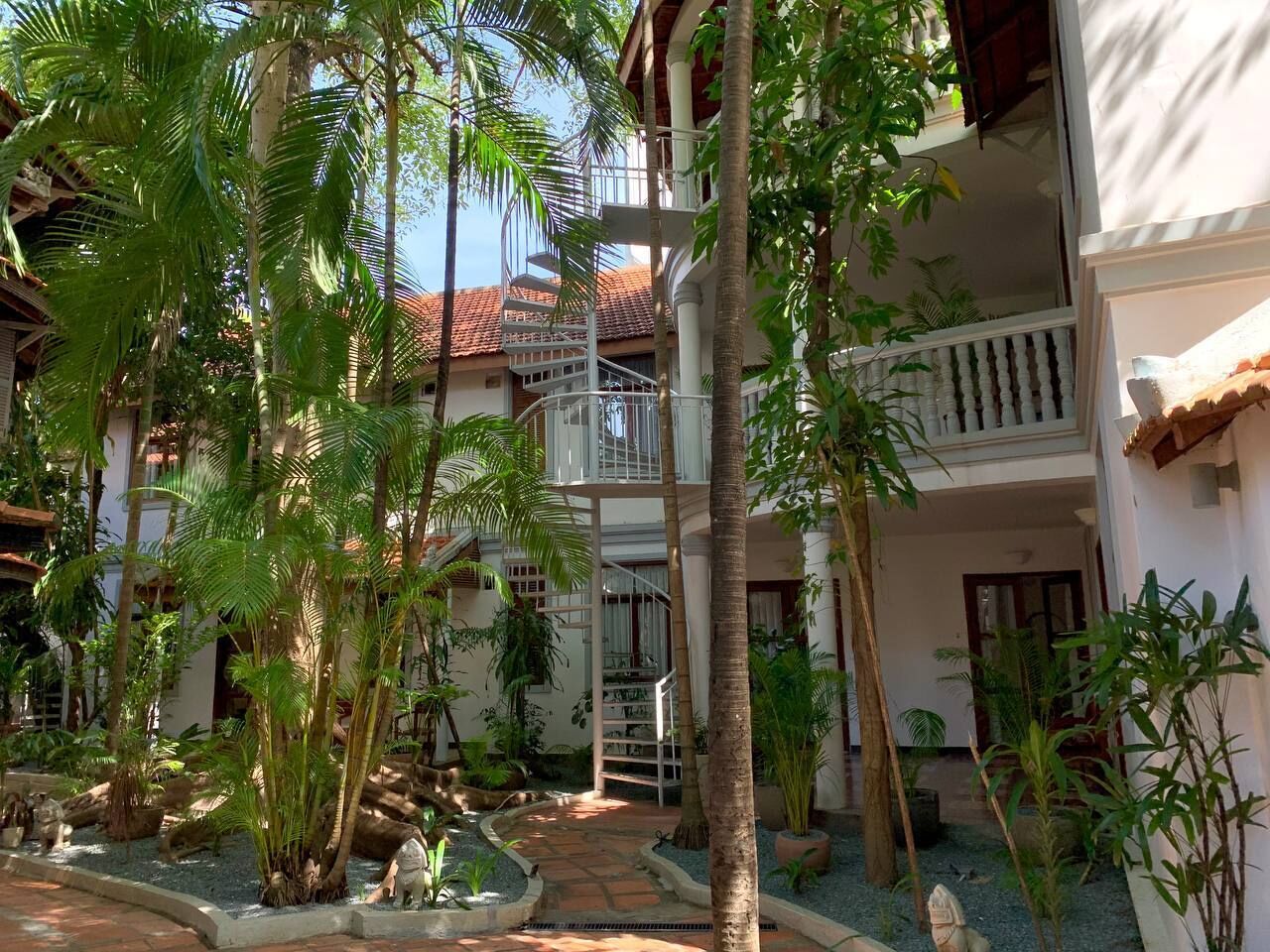 Photo - Jungle Addition