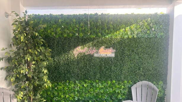 Pared cubierta de follaje verde y un letrero que dice "Good Life Casa Rocky Point, Sonora".