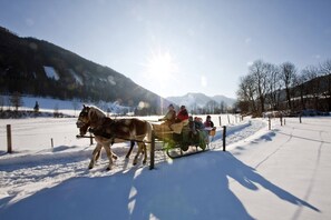 Snow and ski sports - Attractive chalet with sauna (Stadl an der mur)