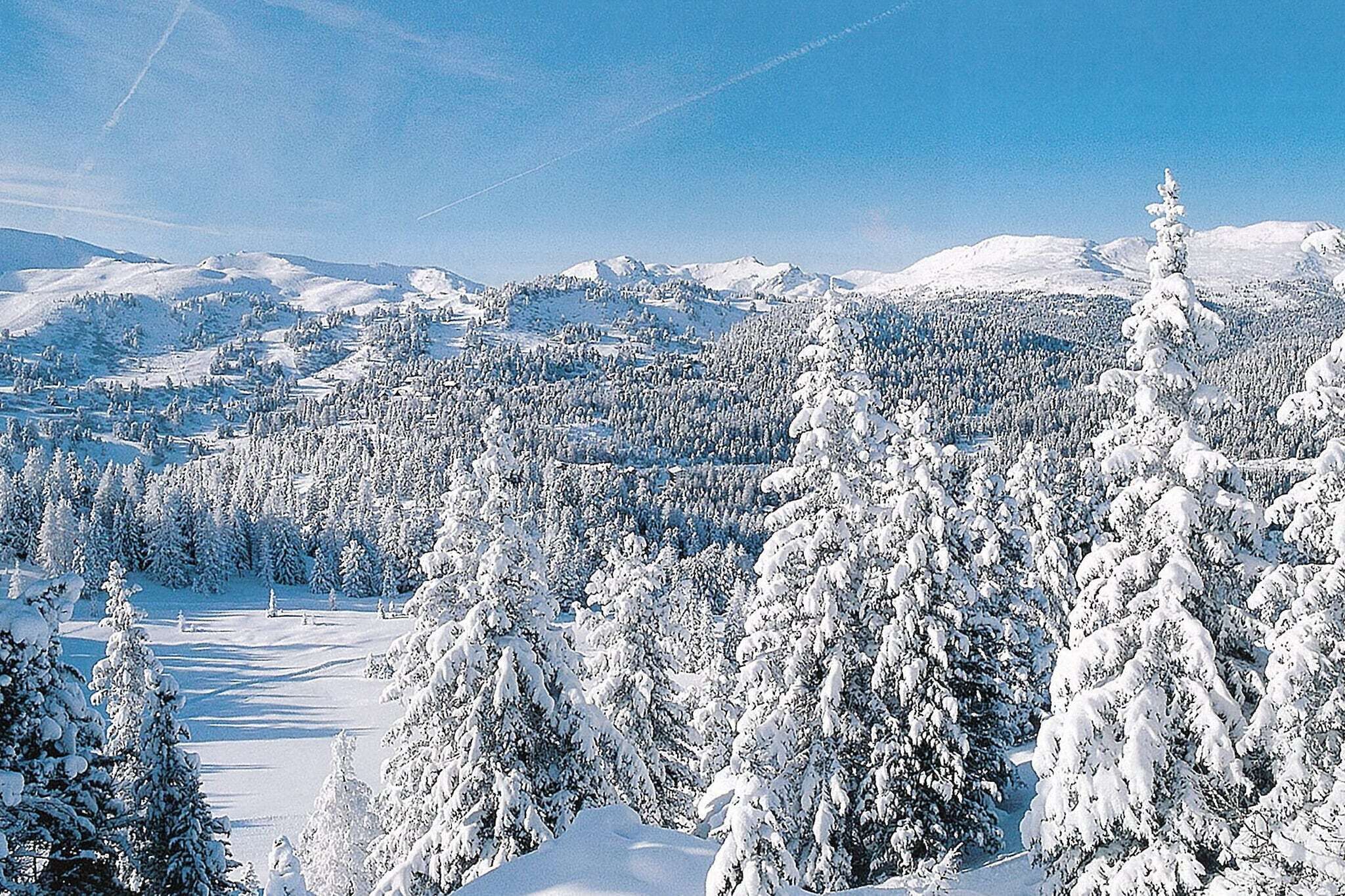 A snow-covered landscape with dense forests and distant mountains.