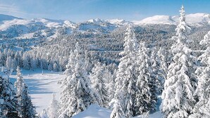 A snow-covered landscape with dense forests and distant mountains. - Attractive chalet with sauna (Stadl an der mur)