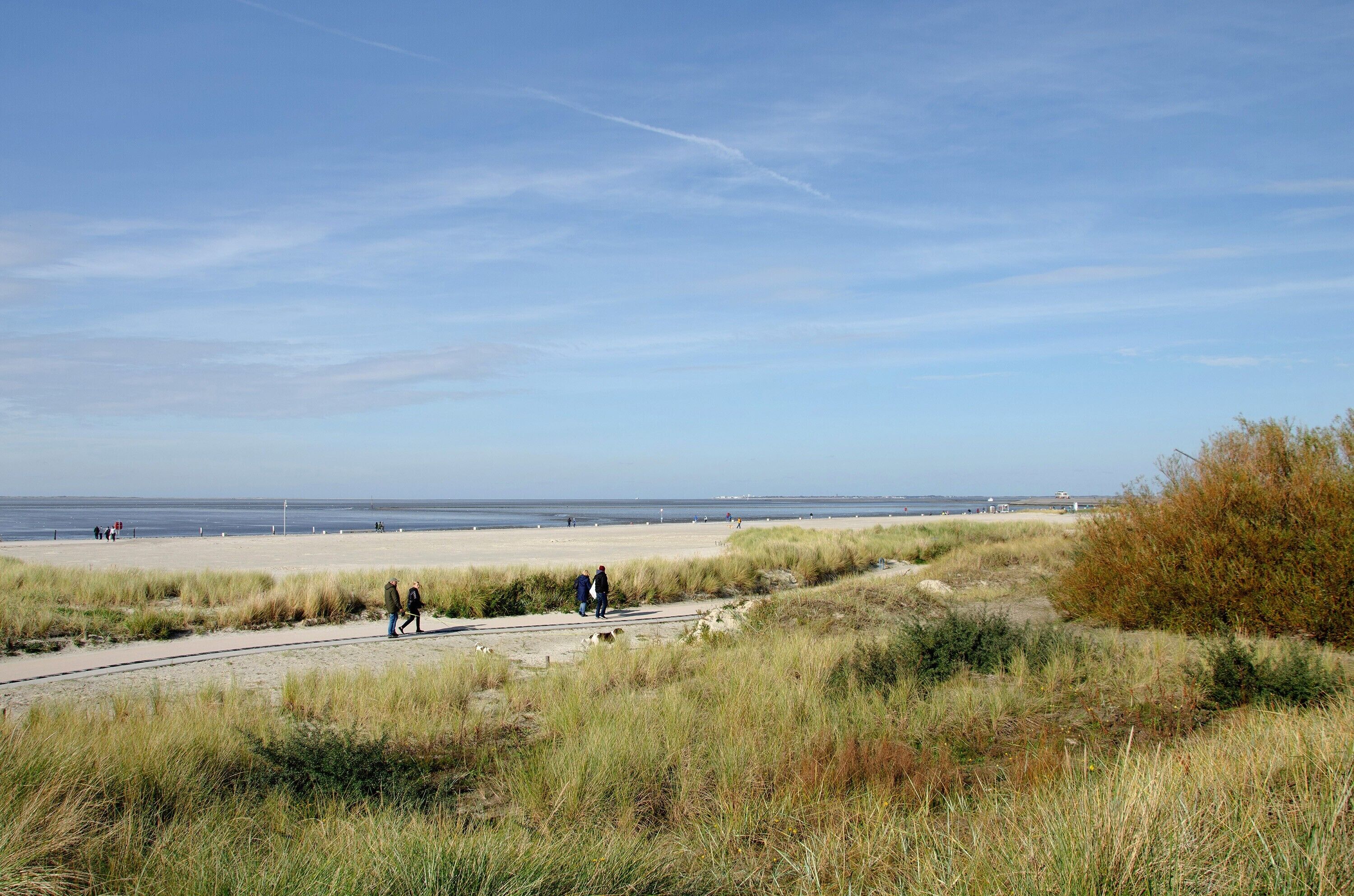 Eine Küstenlandschaft mit Sandstrand, grasbewachsenen Dünen und blauem Himmel.