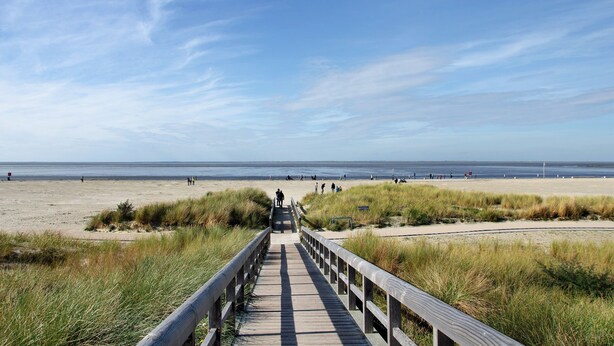 A wooden boardwalk leading to a beach with dunes and a clear sky.