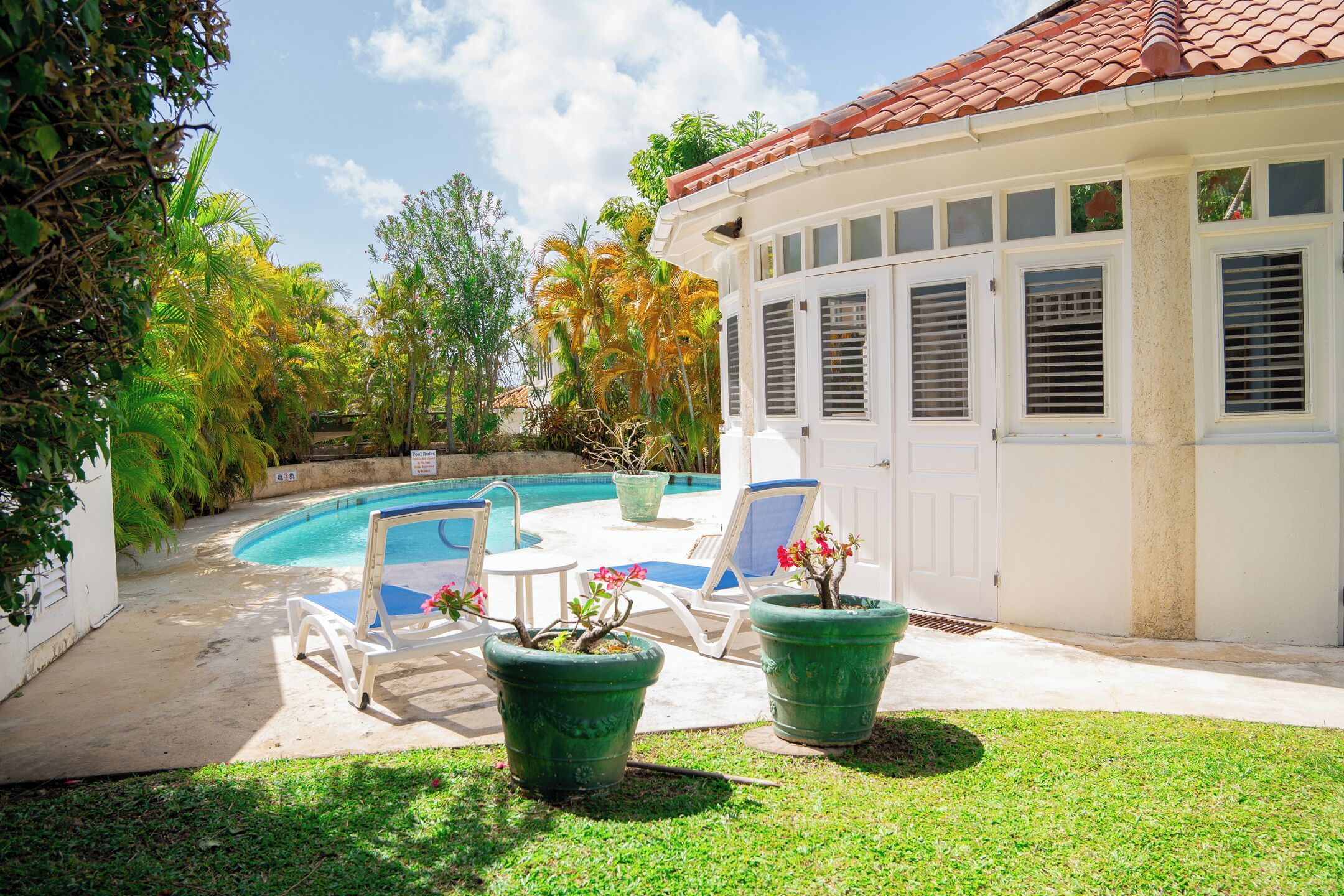 A pool area with lounge chairs and potted plants.