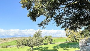 Un muro de piedra y un campo cubierto de hierba con árboles.