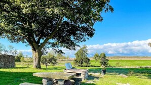 Un banco de piedra bajo un gran árbol en un campo cubierto de hierba, con un muro de piedra y un cielo despejado.