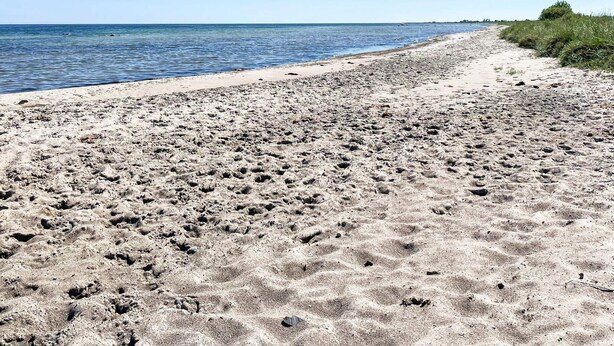Una playa arenosa con huellas que se adentran en el agua.