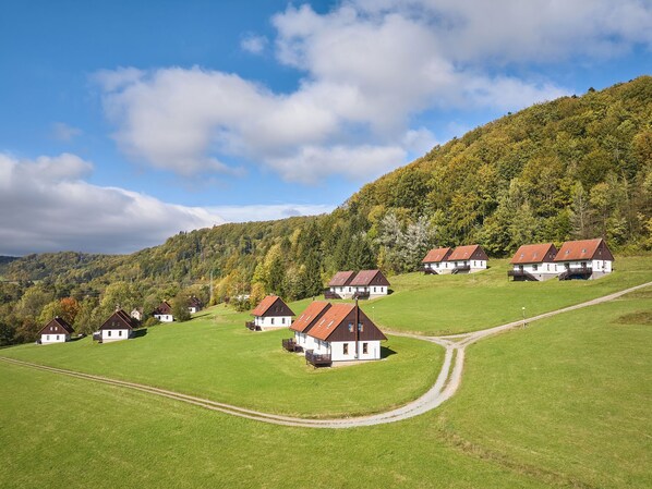 A cluster of white houses with brown roofs on a hillside, surrounded by green fields and a forested mountain.