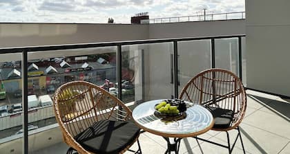 Luxury Apartment on Drewnowska Street