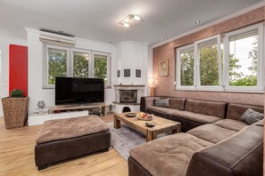 TV, fireplace