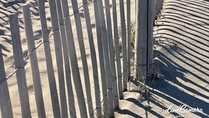 Una cerca de madera con parte superior curva que conduce a una zona arenosa.