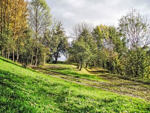 Miscellaneous - Green Valley Park Stárkov 3 by Interhome (Stárkov)