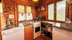 Une cuisine rustique aménagée dans une cabane en bois, avec un poêle, un évier et un réfrigérateur.