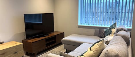 Fernseher, Arbeitsbereiche