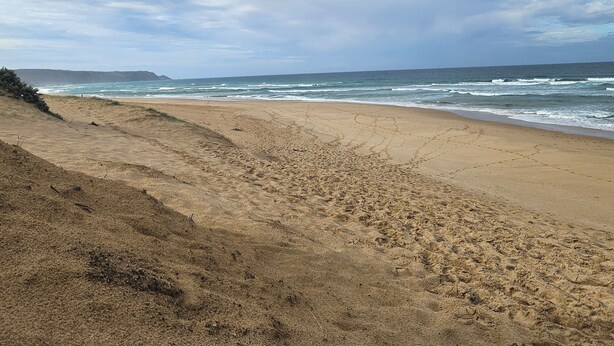 A beach with a sandy shore and waves. - Mornington peninsula getaway (Frankston)
