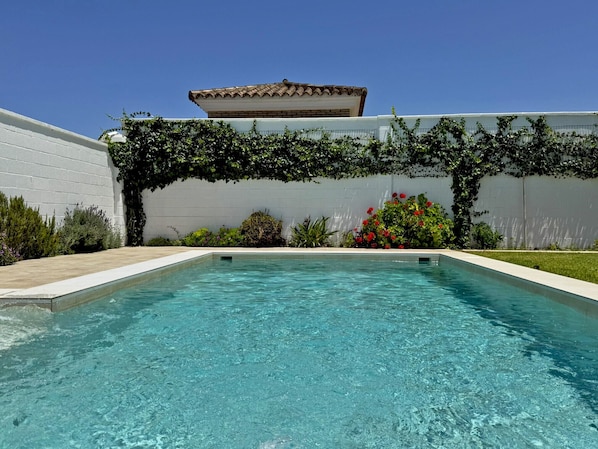 Ein rechteckiger Swimmingpool mit klarem Wasser, umgeben von einer weißen Mauer mit Grünpflanzen und Blumen.