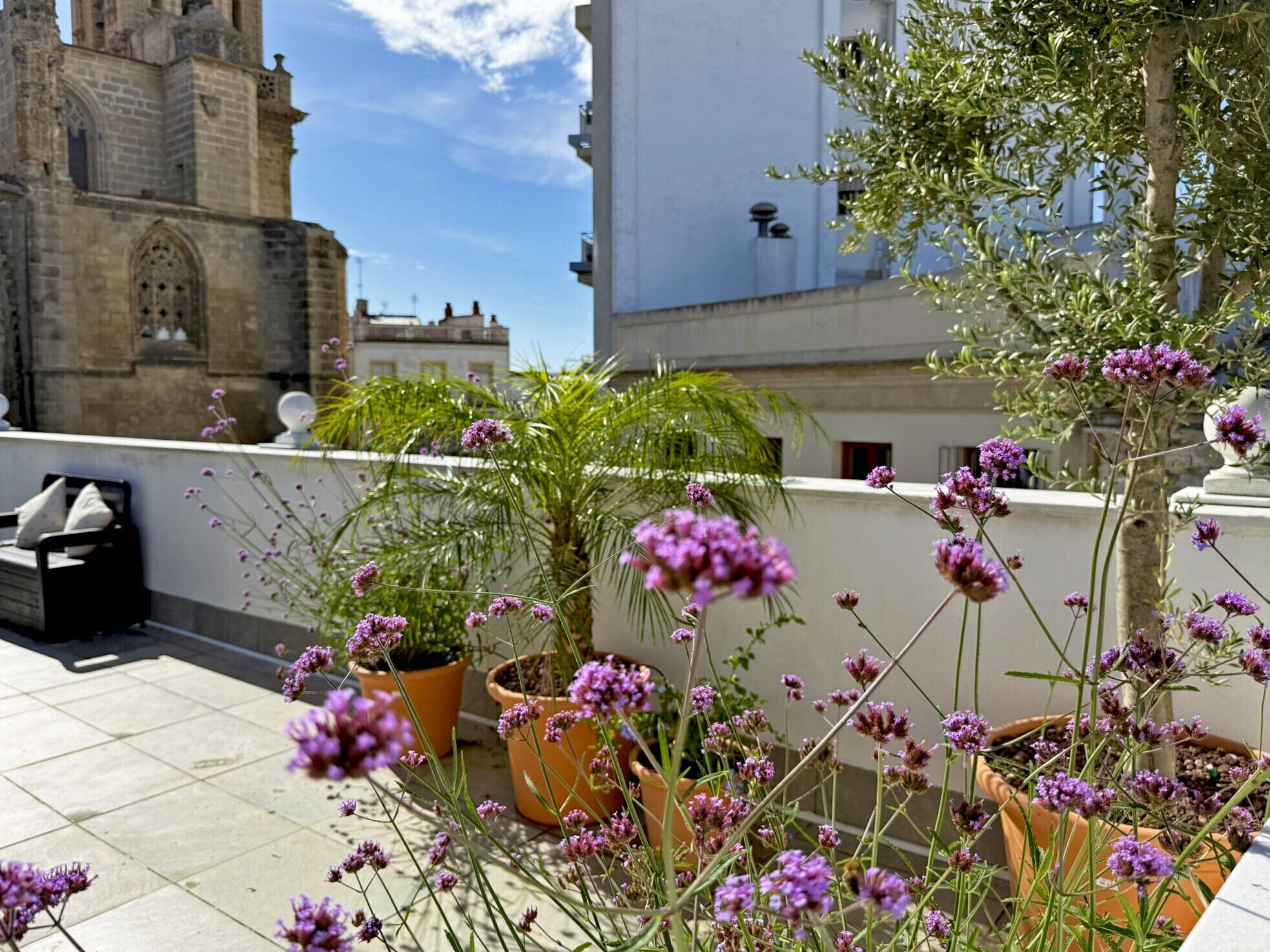 Une terrasse sur le toit, agrémentée de plantes en pot, d’où l’on peut admirer un bâtiment historique.