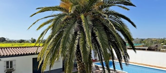 Villa Al Alba - Ole Solutions